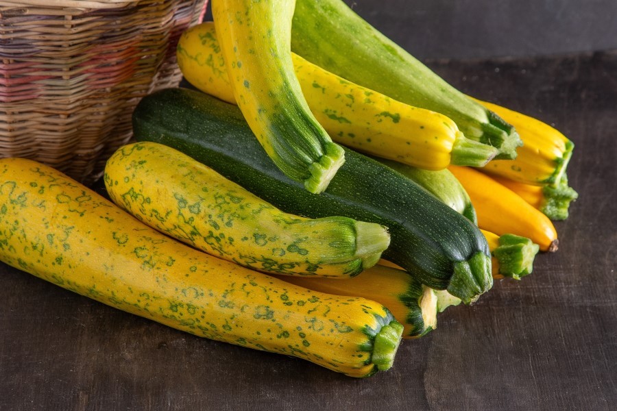 Summer Squash