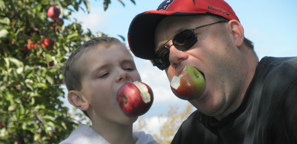 A father and son hold large apples in their mouths, without hands.