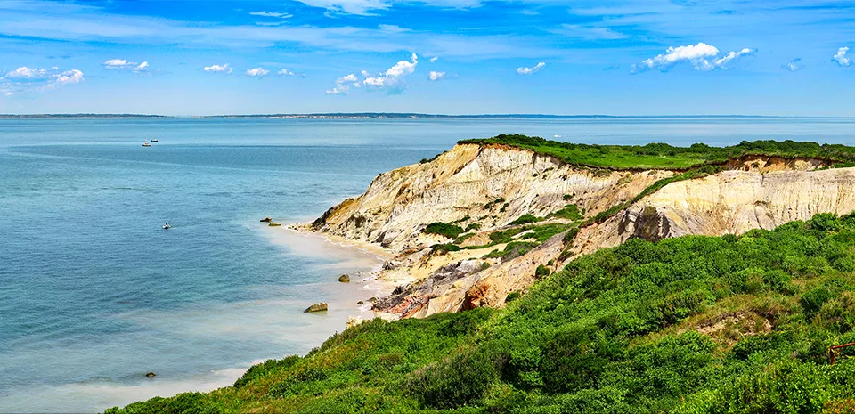 A summer landscape along a Cape Cod shoreline.