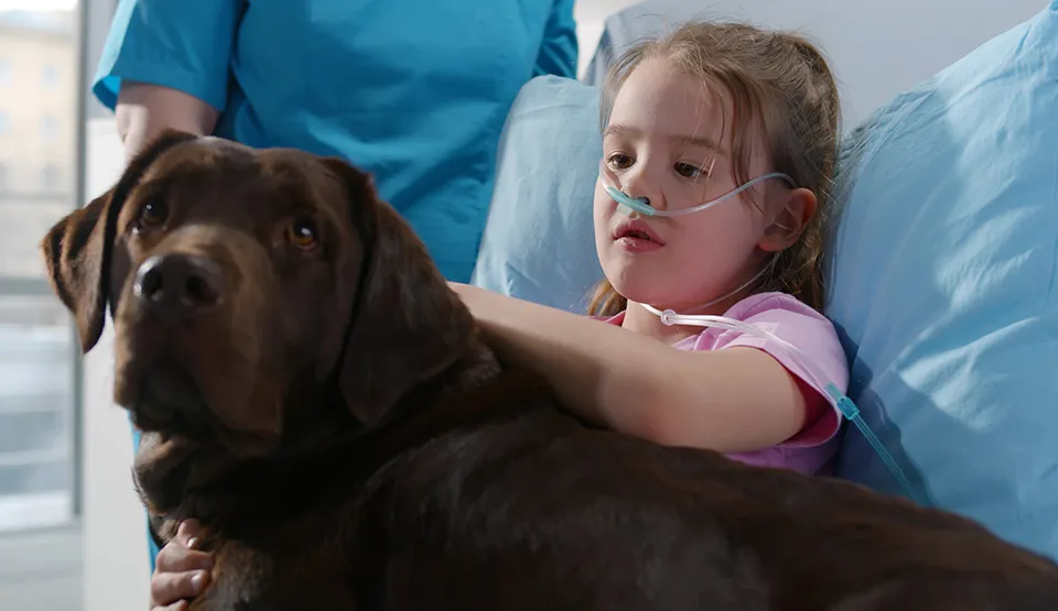A young patient sitting in a bed while petting a dog.